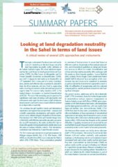 Summary papers n°38 : Looking at land degradation neutrality in the Sahel in terms of land issues. A critical review of several LDN approaches and instruments