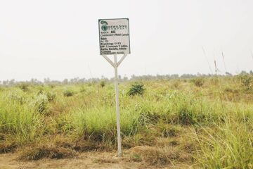 Un projet de compensation carbone controversé met des communautés de la Sierra Leone en difficulté